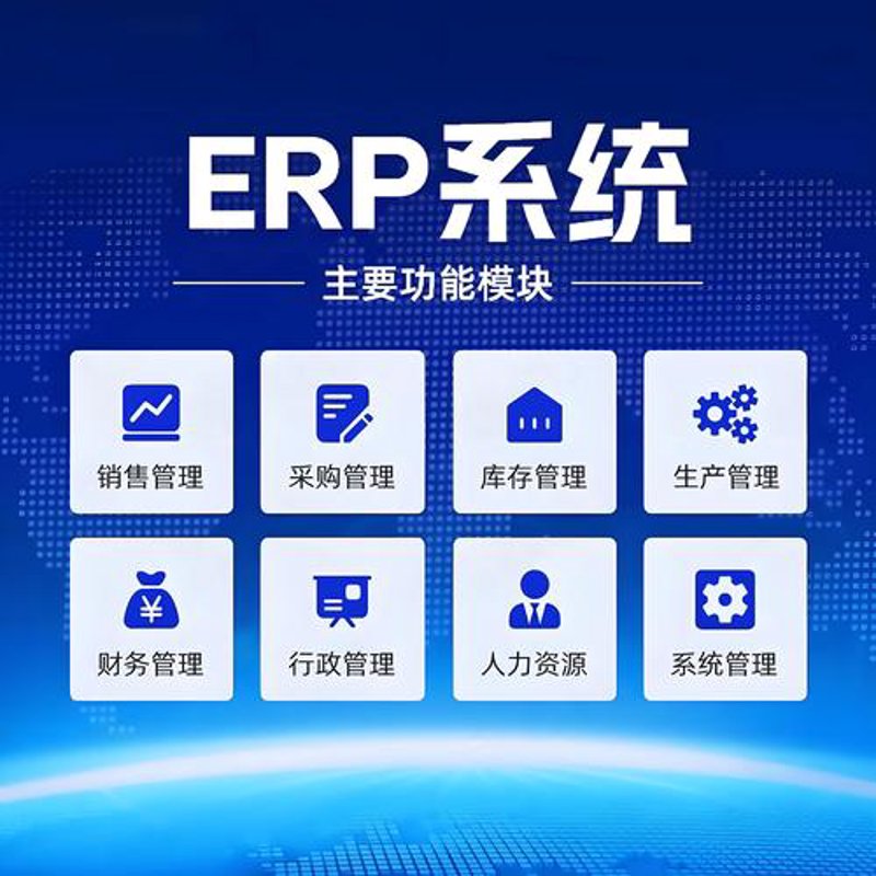 解读ERP系统定制：适应行业发展的关键力量